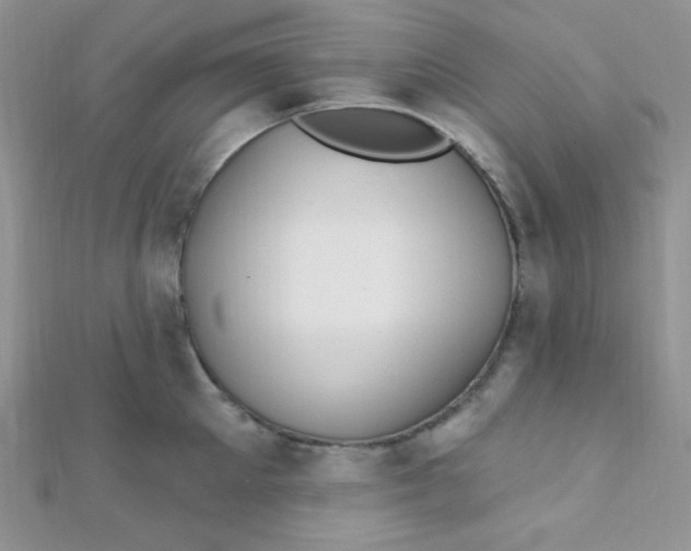 X0000112390905200909032011