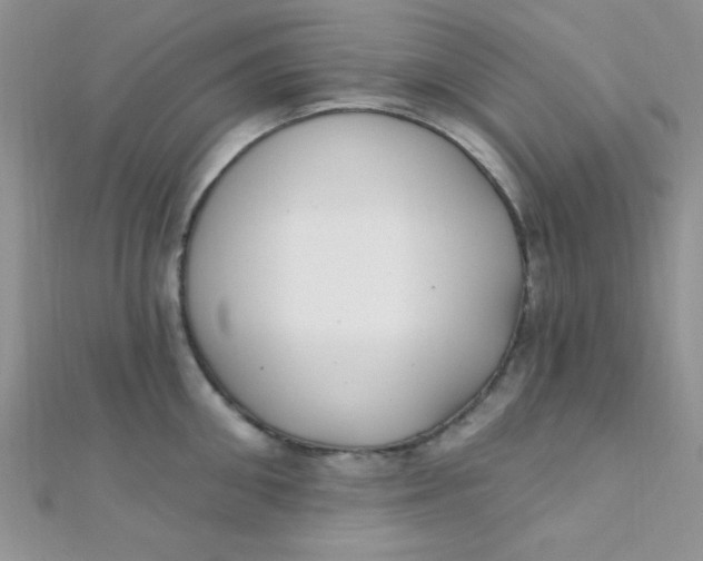 X0000112390906200909032011