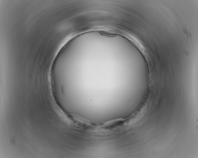 X0000112390907200909032011