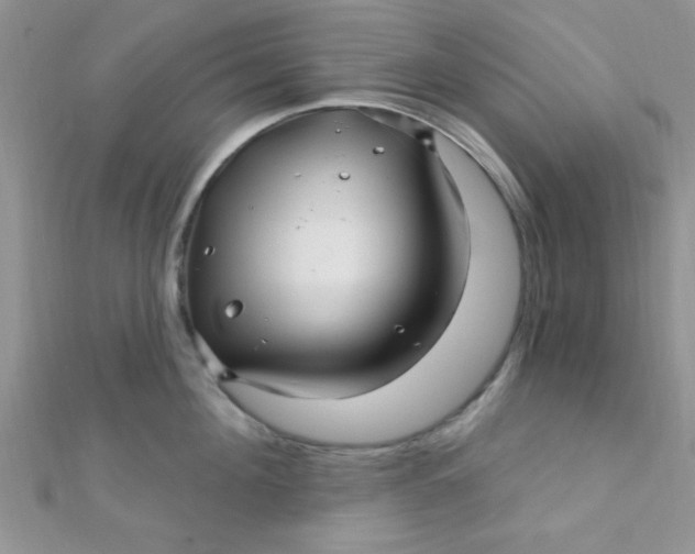 X0000112390908200909032011