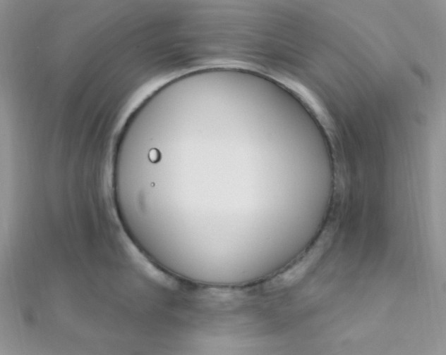 X0000112390910200909032011