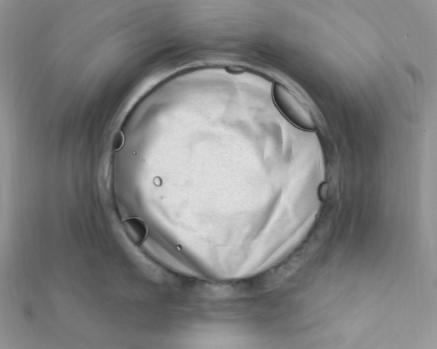 X0000112390911200909032011