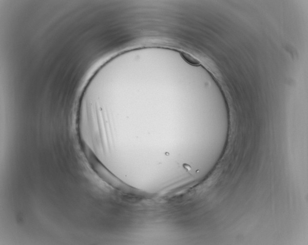 X0000112390912200909032011