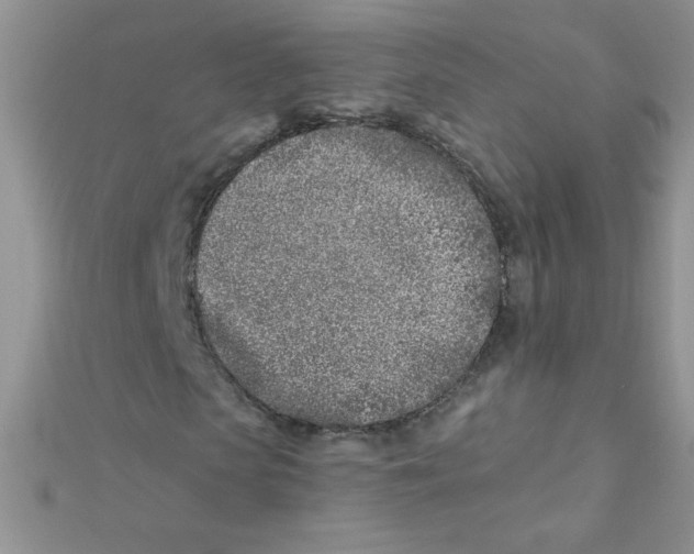 X0000112390913200909032010