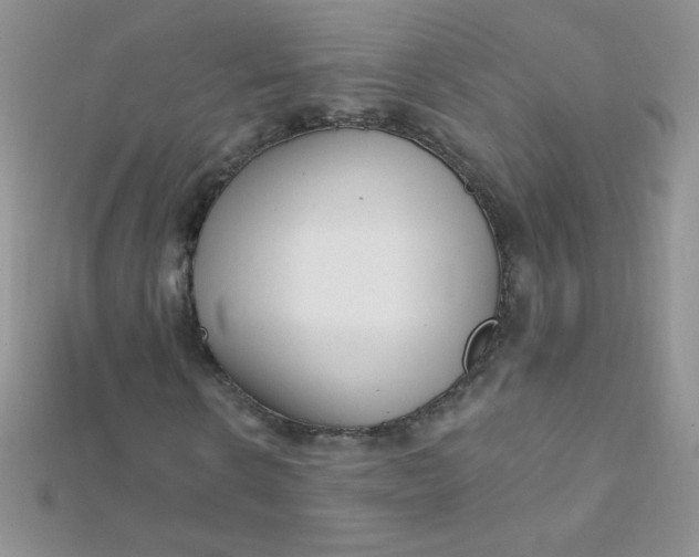 X0000112390914200909032010