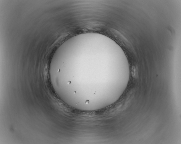 X0000112390915200909032010