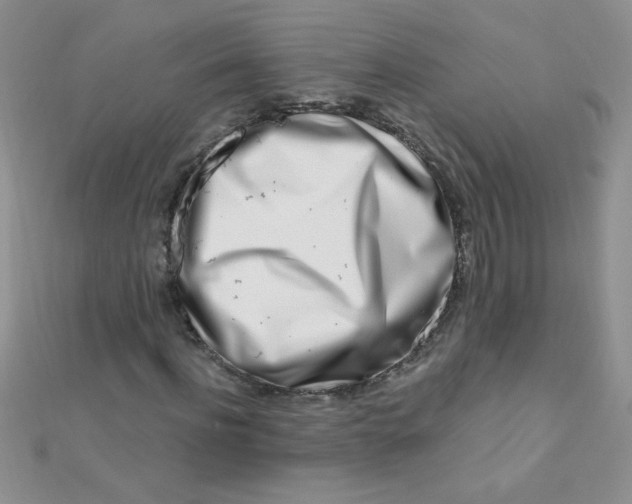 X0000112390916200909032010