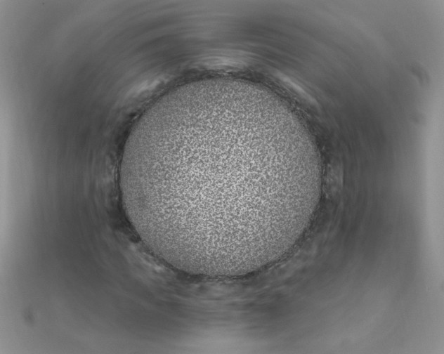 X0000112390917200909032010