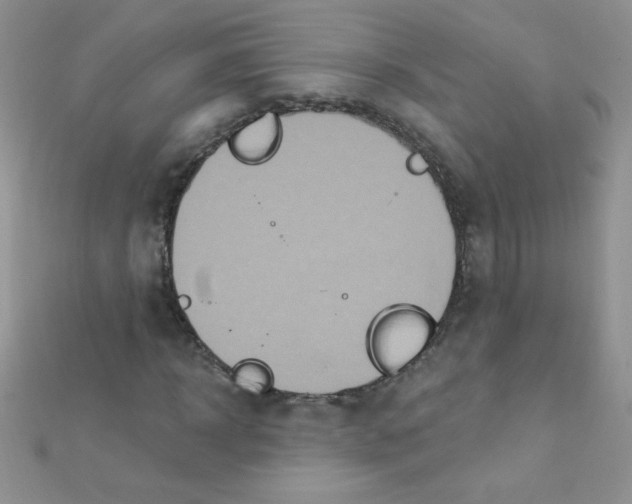 X0000112390918200909032010