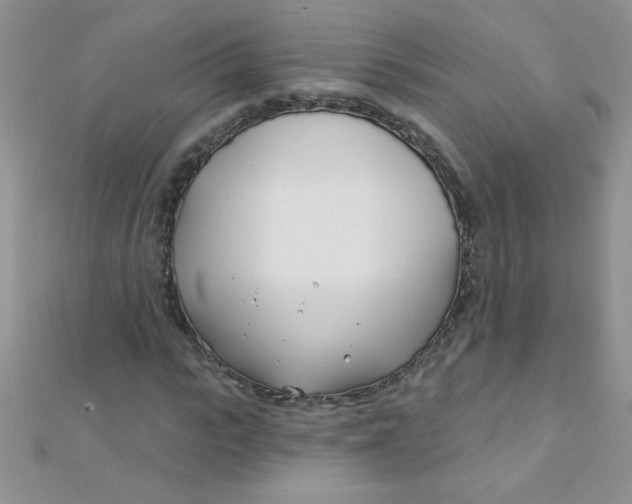 X0000112390919200909032010