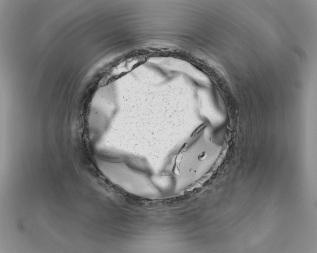 X0000112390920200909032010