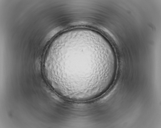 X0000112390921200909032010