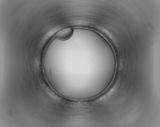 X0000112390922200909032010