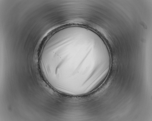 X0000112390923200909032010