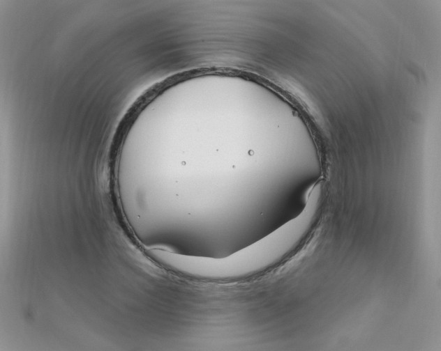 X0000112390924200909032010