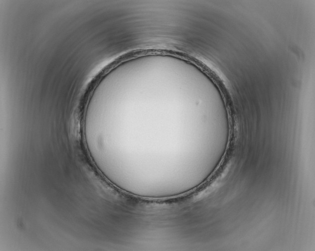 X0000112390925200909032010