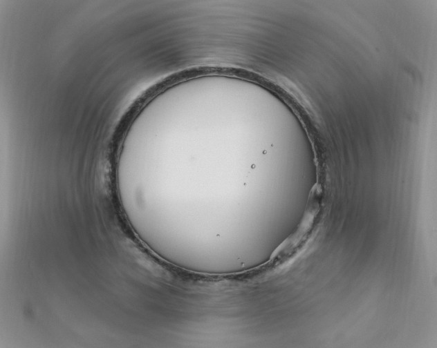 X0000112390926200909032010