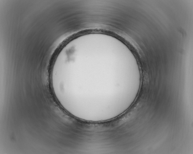 X0000112390927200909032010