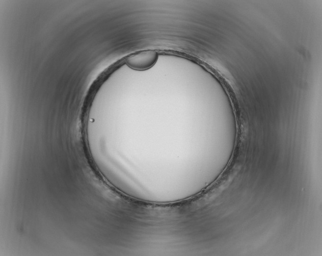 X0000112390928200909032010