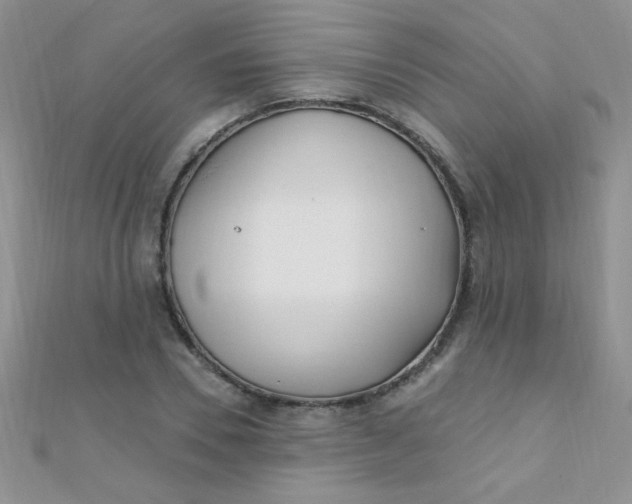 X0000112390930200909032011