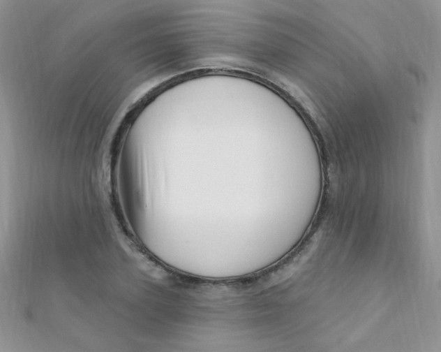 X0000112390931200909032011