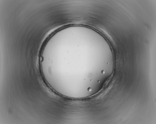 X0000112390932200909032011