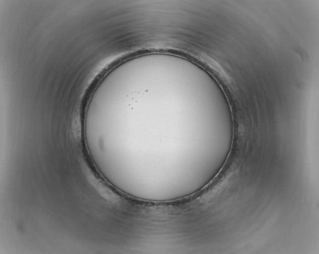 X0000112390934200909032011