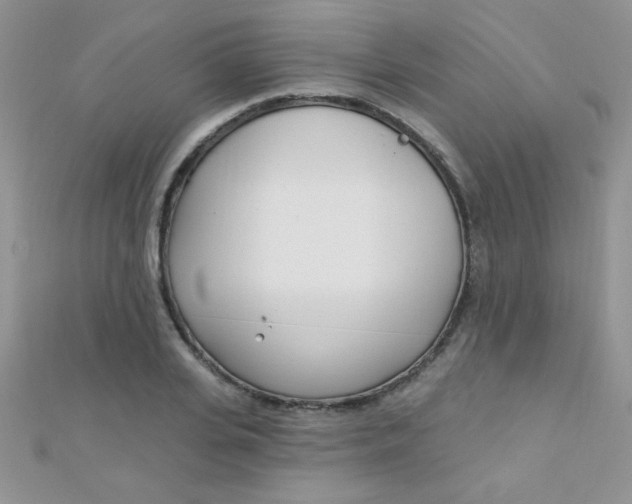 X0000112390935200909032011