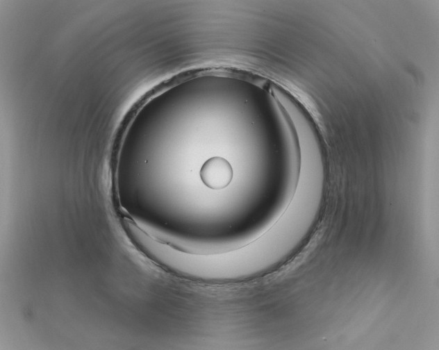 X0000112390936200909032011