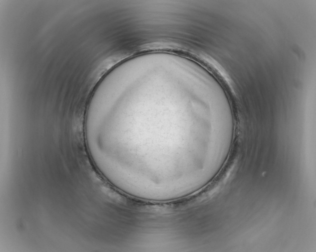 X0000112390937200909032011