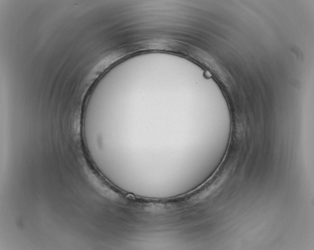 X0000112390938200909032011