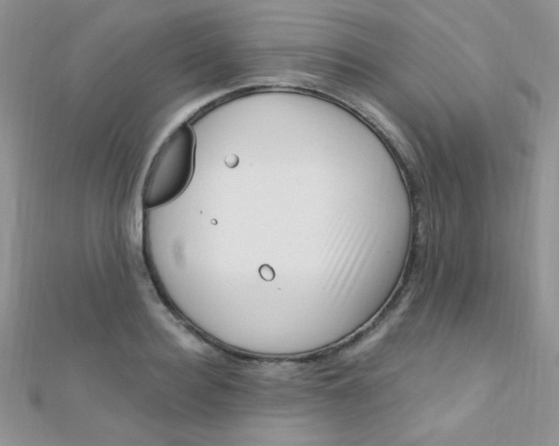 X0000112390940200909032011