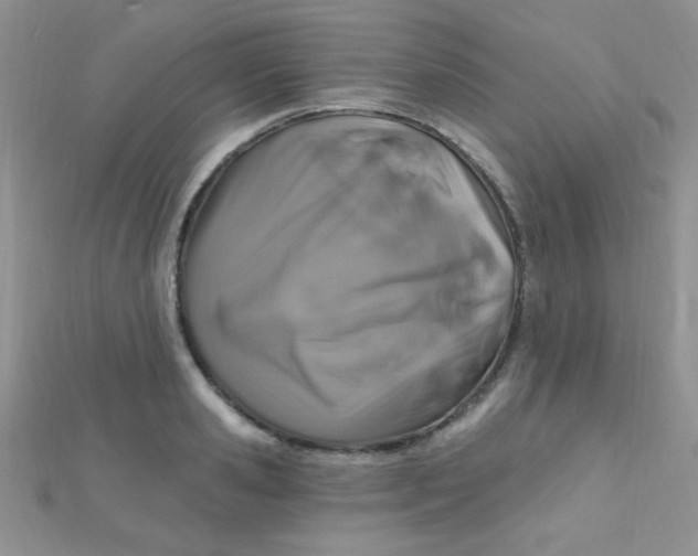 X0000112390941200909032011