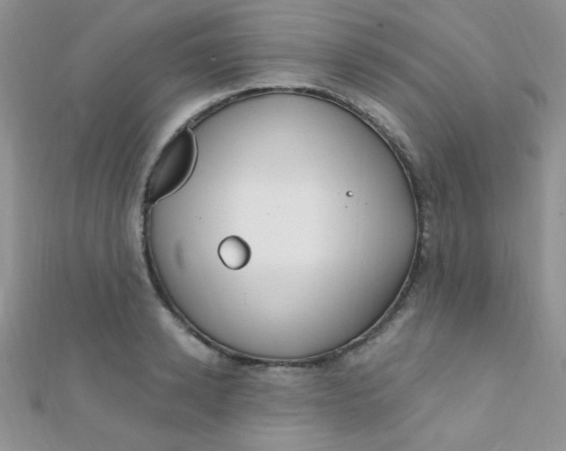 X0000112390942200909032011