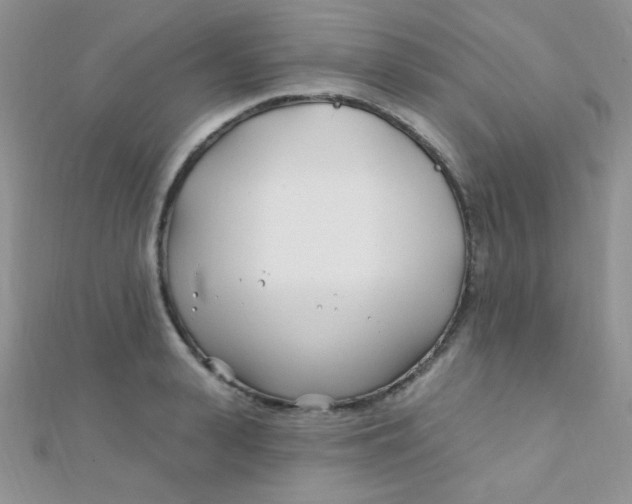 X0000112390943200909032011