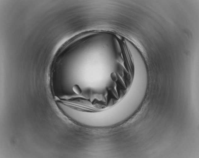 X0000112390944200909032011