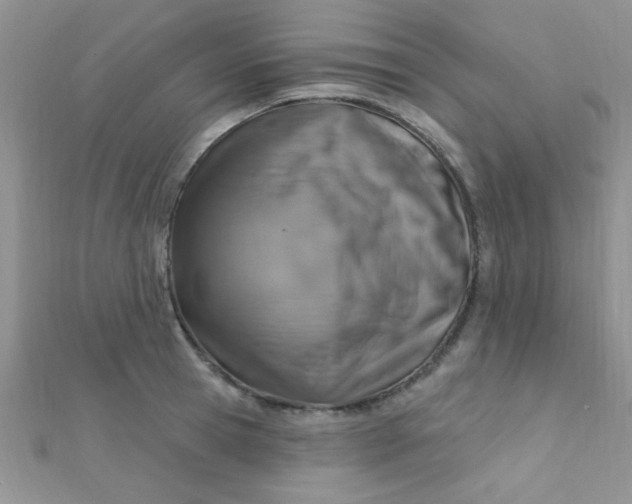 X0000112390945200909032011