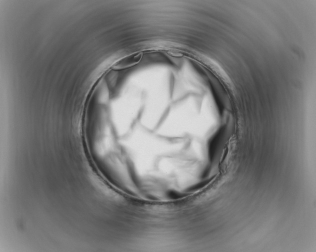 X0000112390946200909032011