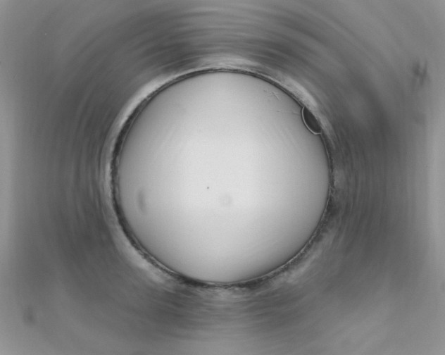 X0000112390947200909032011