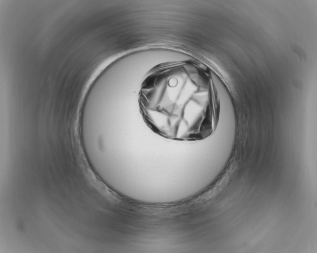 X0000112390948200909032011