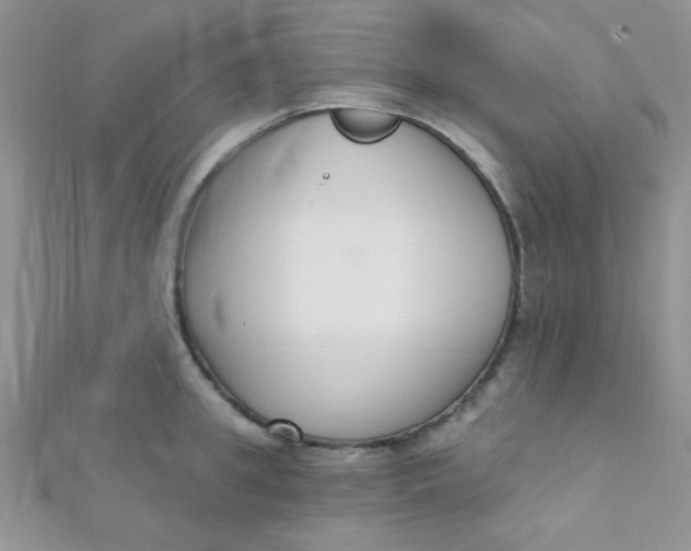 X0000112390949200909032011