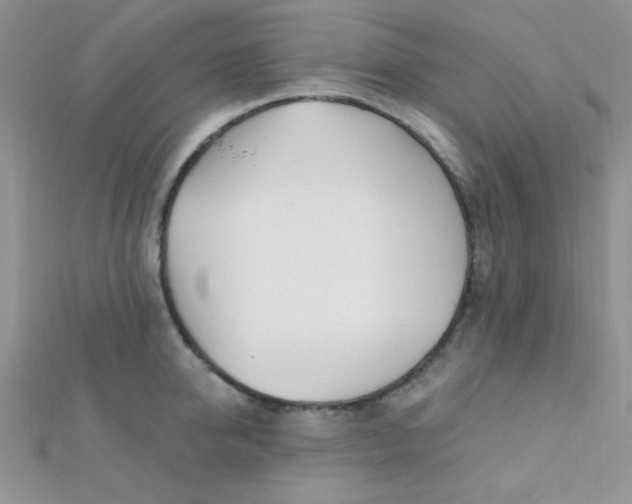 X0000112390950200909032011