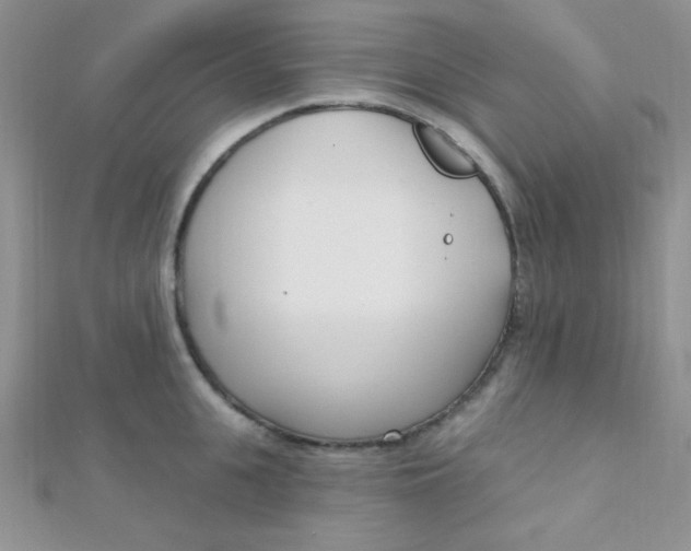 X0000112390951200909032011