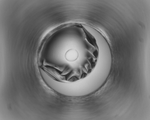 X0000112390952200909032011