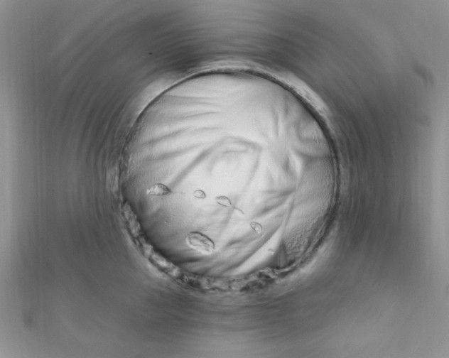 X0000112390953200909032011