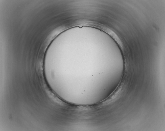 X0000112390954200909032011