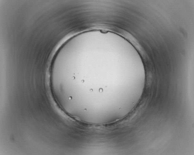 X0000112390955200909032011