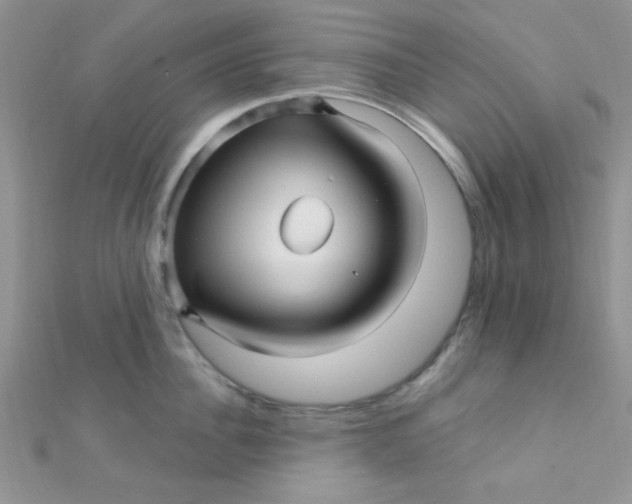 X0000112390956200909032011