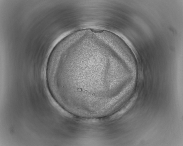 X0000112390957200909032011