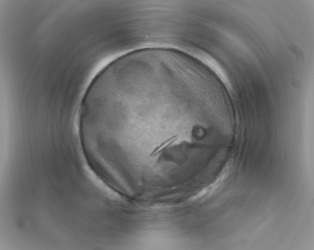 X0000112390958200909032011